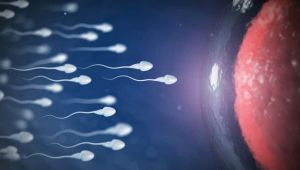 Sperm kalitesini nasıl arttırabilirsiniz ? Baba olma ihtimalini arttıran öneriler